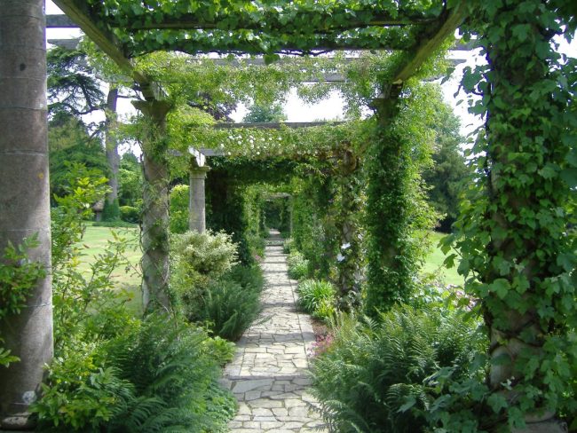 England2-104-1080×810